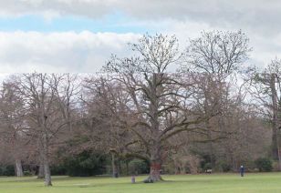 Bild Park zu Gedicht es war einmal 