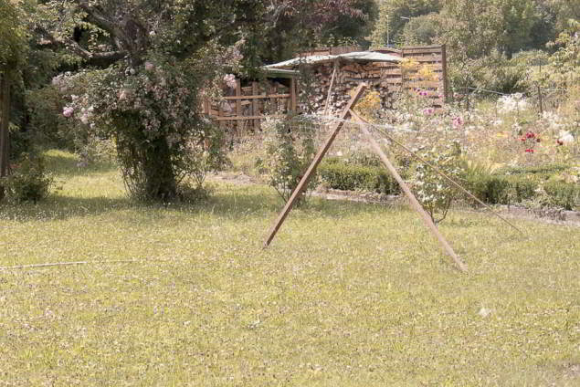 einst zogen Pferde Garten kunst